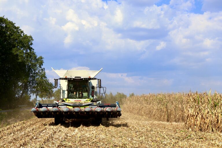 koszenie_kukurydzy_agrochemik_pultusk_nawozy